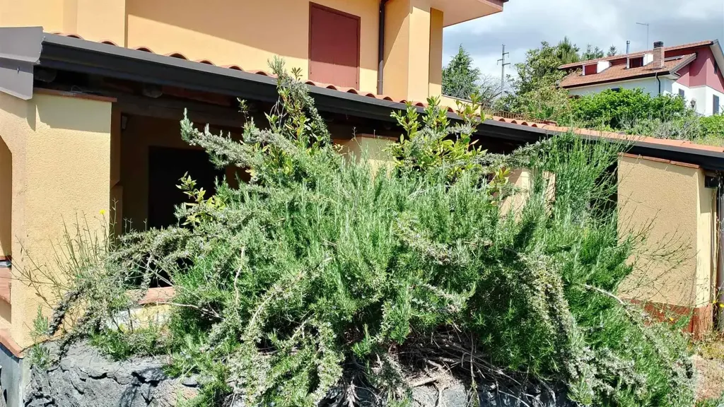 Esterno - Rustic Villa with Fruit Garden in Pedara