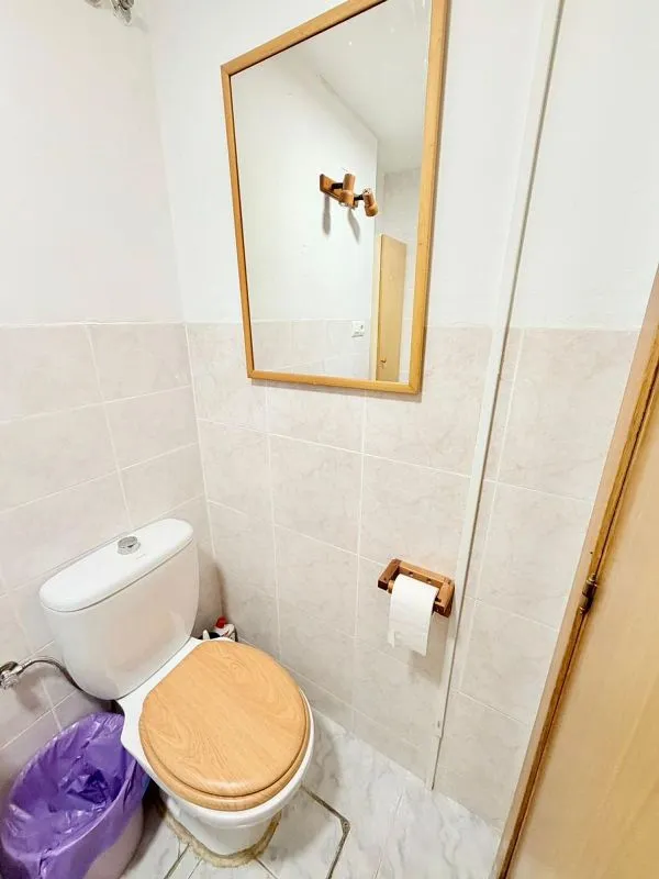 Salles de bain - 1-Bedroom Flat with Garden in Ciudad Universitaria