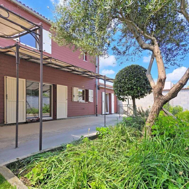 terrace_patio
