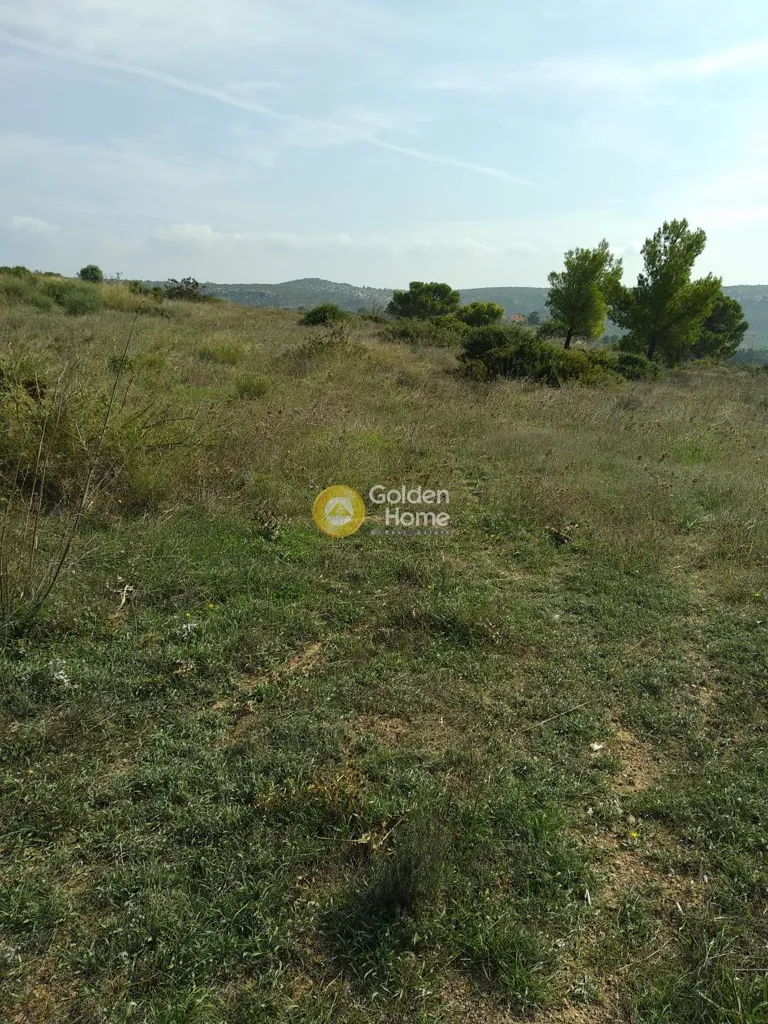 Garden - Plot with Unrestricted View in Keratea