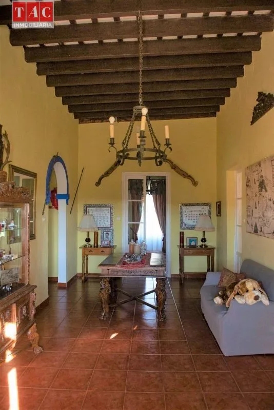 Living Room - Luxury Farmhouse with Pool in Ayamonte