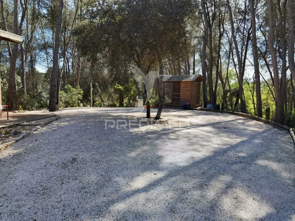 Extérieur - Quinta with Olive Grove in Torre do Bispo