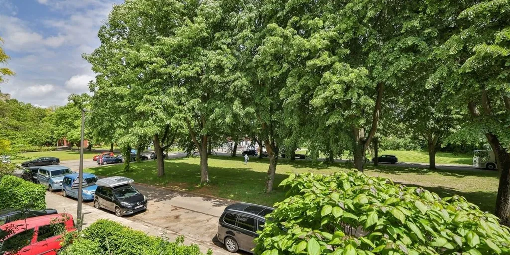 Jardin - Maison avec Jardin dans le Quartier Vert de Mortsel