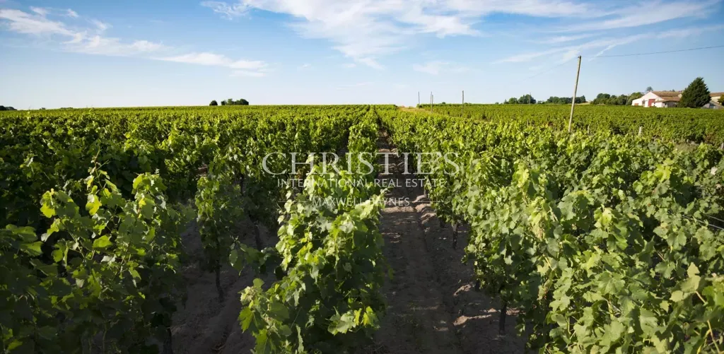 Garden - Bordeaux Vineyard Estate with Historic Chateau