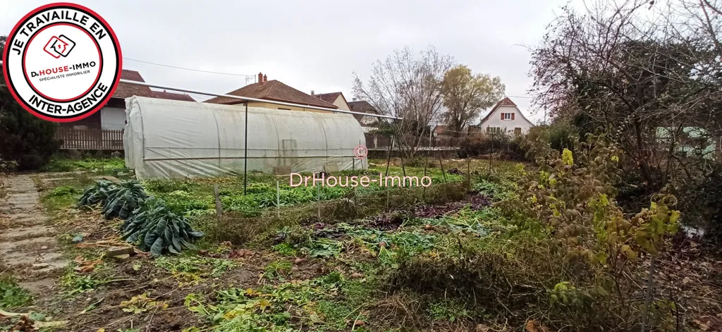 Jardin - Maison Traditionnelle avec Grange à Landser
