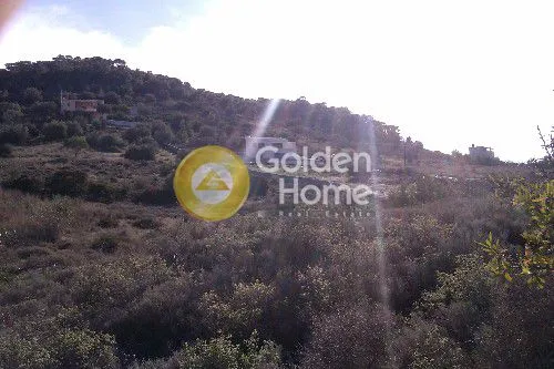 Jardin - Detached House with Garden in Ampelakia Centre