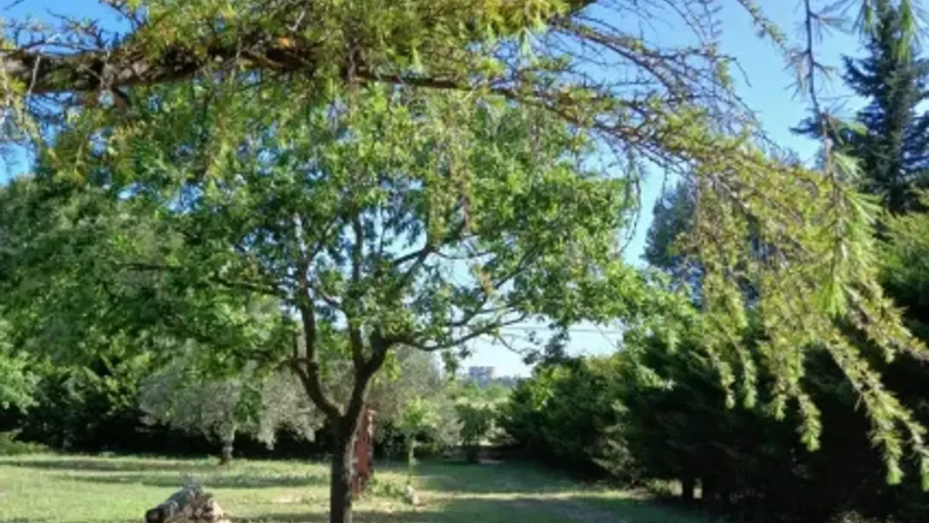 Jardin - Rustic Chalet with Botanical Garden in Andria