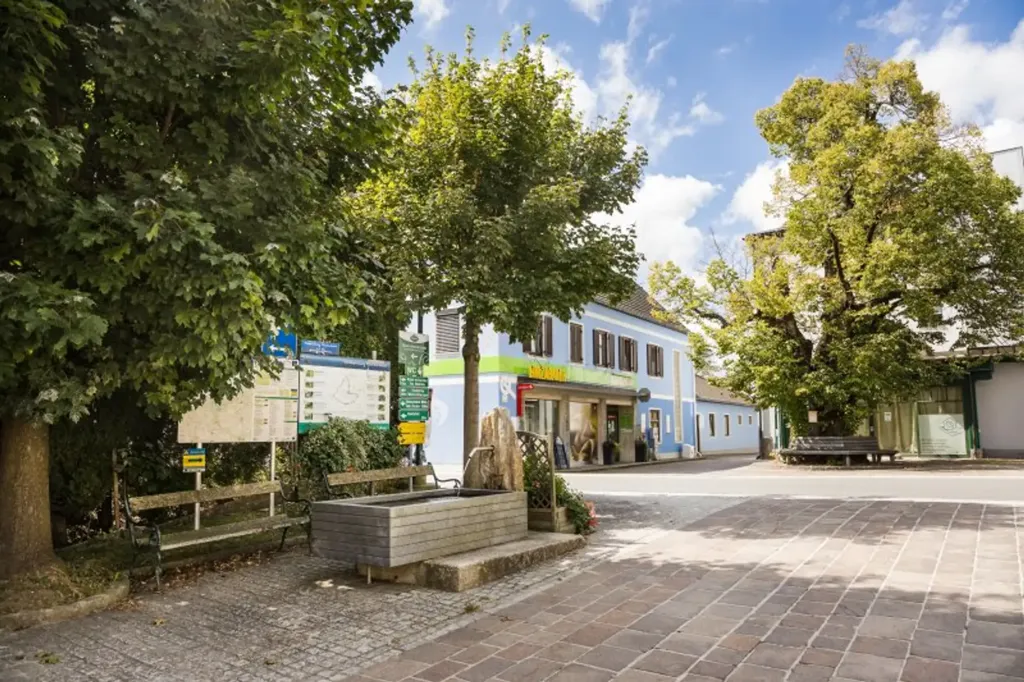 Ground Floor Apartment with West View in Miesenbach