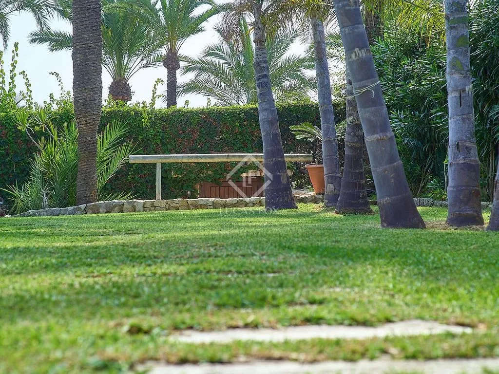 garden