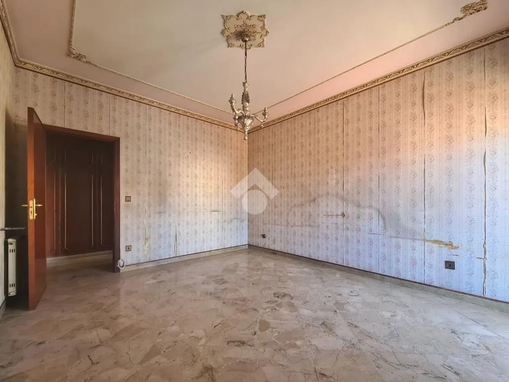 Toad - Spacious Flat with Terraces in Palermo Centre