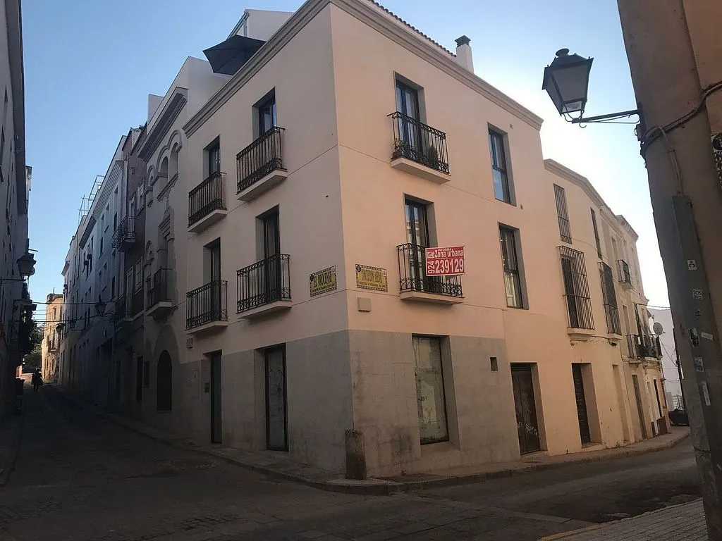 Välivaade - 1-Bedroom Flat with Terrace in Casco Antiguo