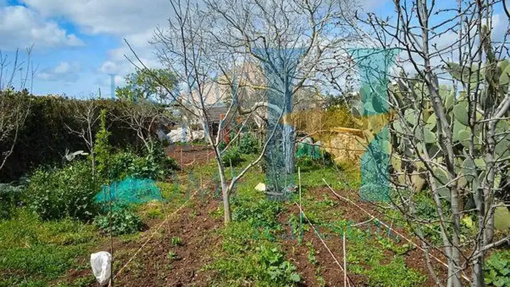 Jardin - Rustic Villa with Ornamental Garden in Modica