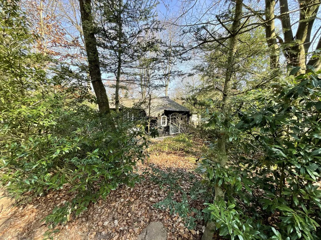 Garden - 6-Persons Cottage with Garden in Ermelo