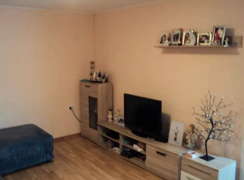 Séjour - Spacious Three-Bedroom Flat in Brtonigla Centre