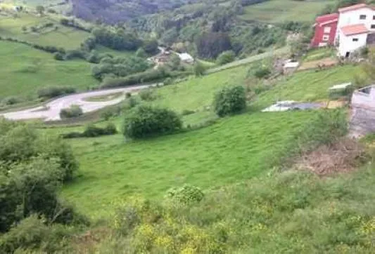 Bien à Tineo