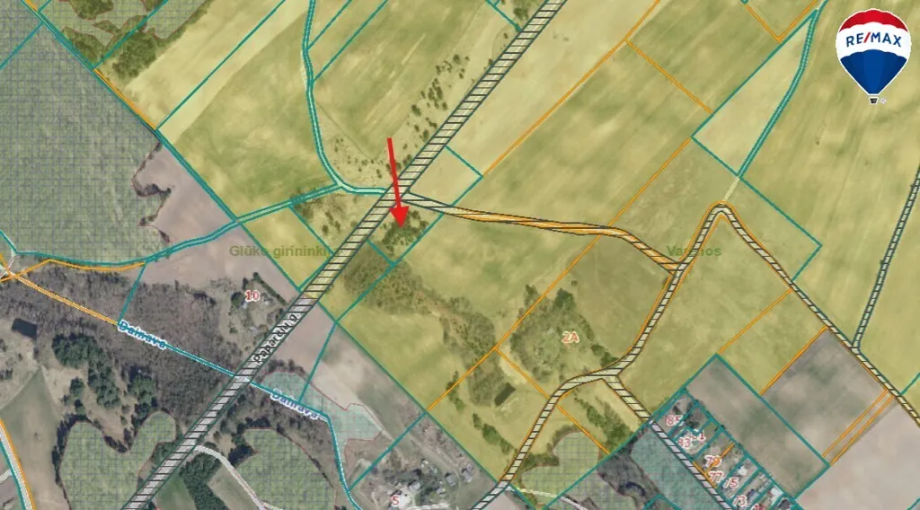 39.36 Acre Plot in Druckūnai, Varėna District