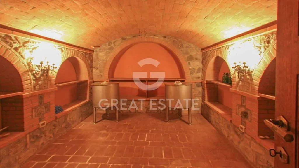 Toad - Restored Villa with Pool in Cetona, Tuscany