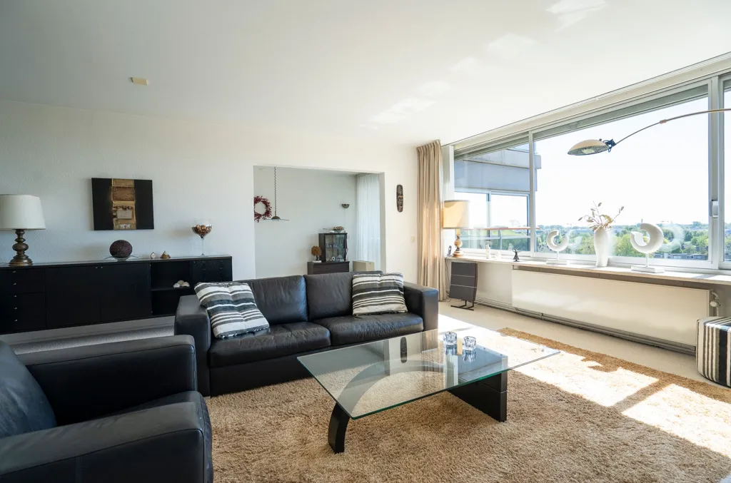 Elutuba - Apartment with Balcony and Views in Papendrecht