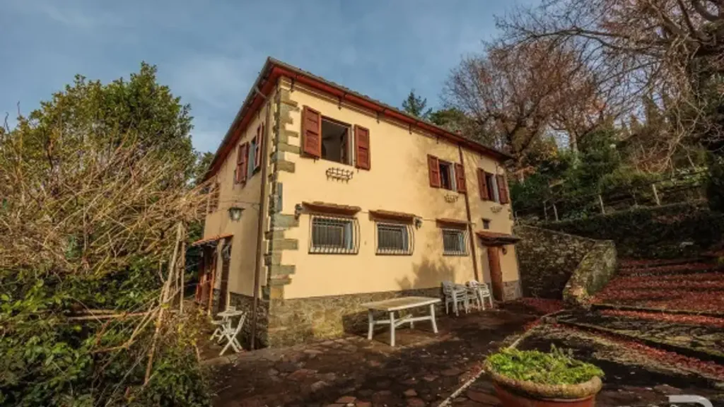 Extérieur - Rustic House with Olive Grove in Selvapiana