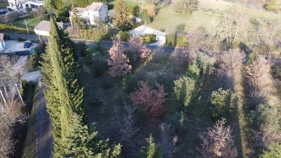 Õhuvaade - Viabilised Plot with Woodland in Allan