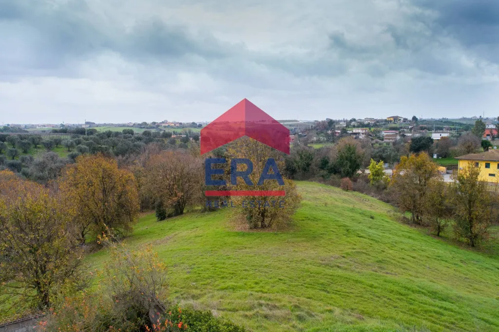 Jardin - Villa with 4.5-Hectare Park in Ardea
