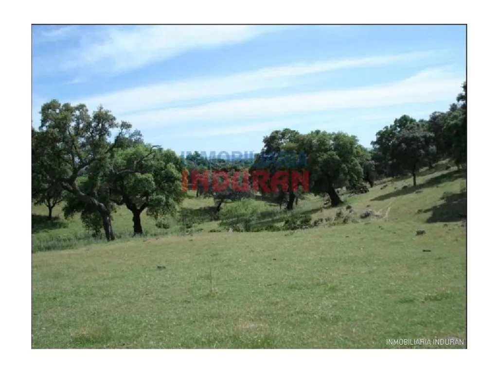 Aed - Luxury Villa with Extensive Land in Cáceres