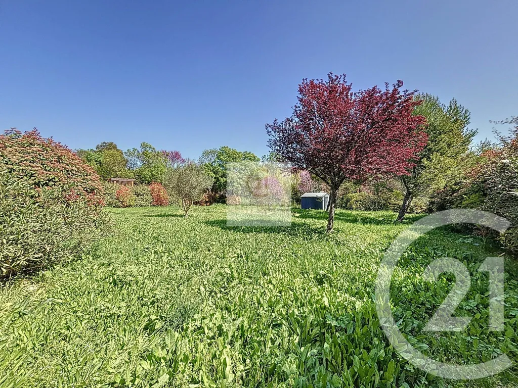 Garden - Contemporary House with Garden in Combaillaux