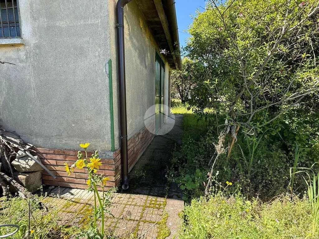 Jardin - Rustic House with Large Garden in Corigliano-Rossano