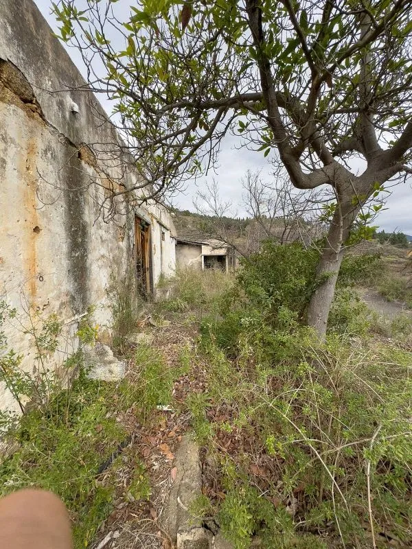 Aed - Rustic Property with Restoration Potential in Arafo