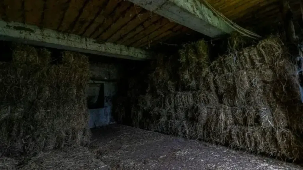 Pièces - Rustic Property with Alpine View near Colle