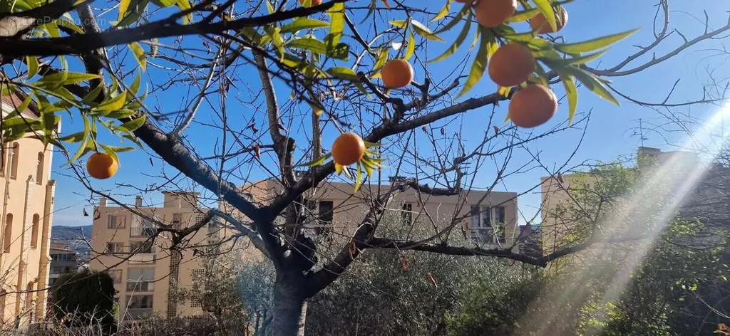 Jardin - Maison des Années 1930 avec Vue Mer à Grasse