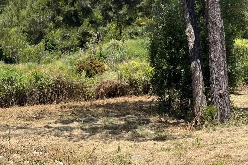 Aed - Land with Construction Permits in Mougins
