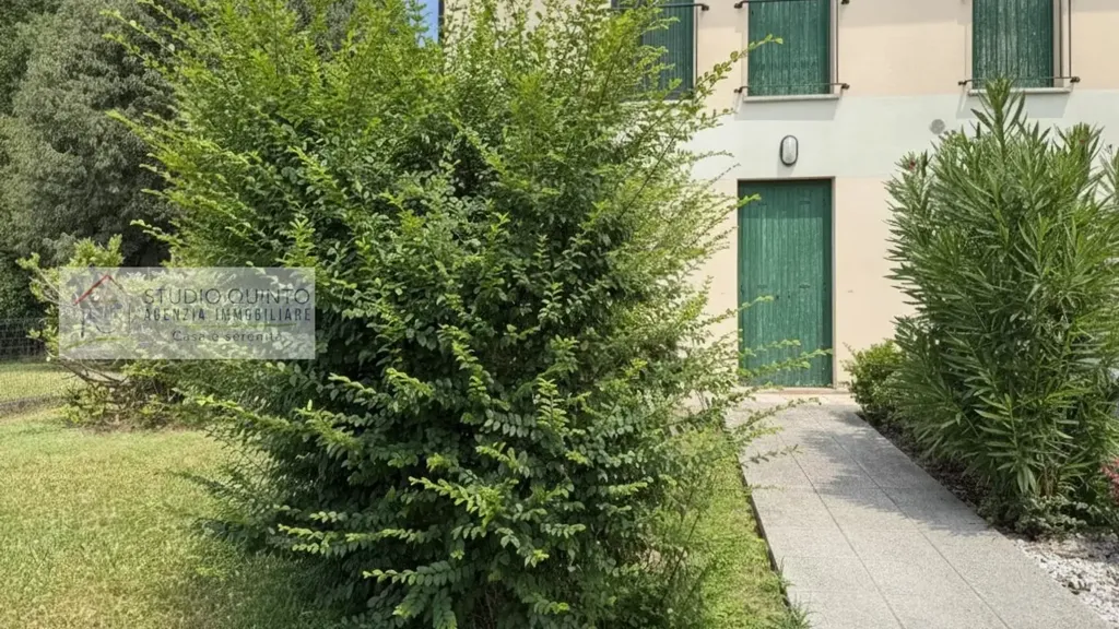 Giardino - Ground Floor Bilocale with Private Garden in Treviso