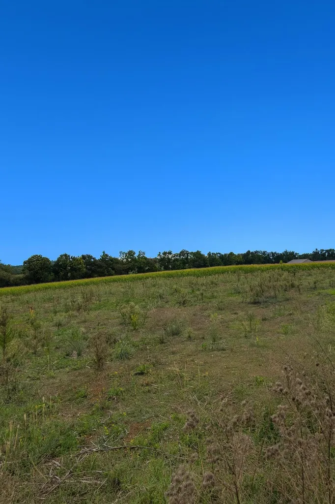 Aed - Buildable Plot with 278 m² in Savigneux