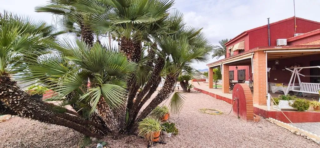 Extérieur - Luxury Villa with Pool in Elche, Valencia