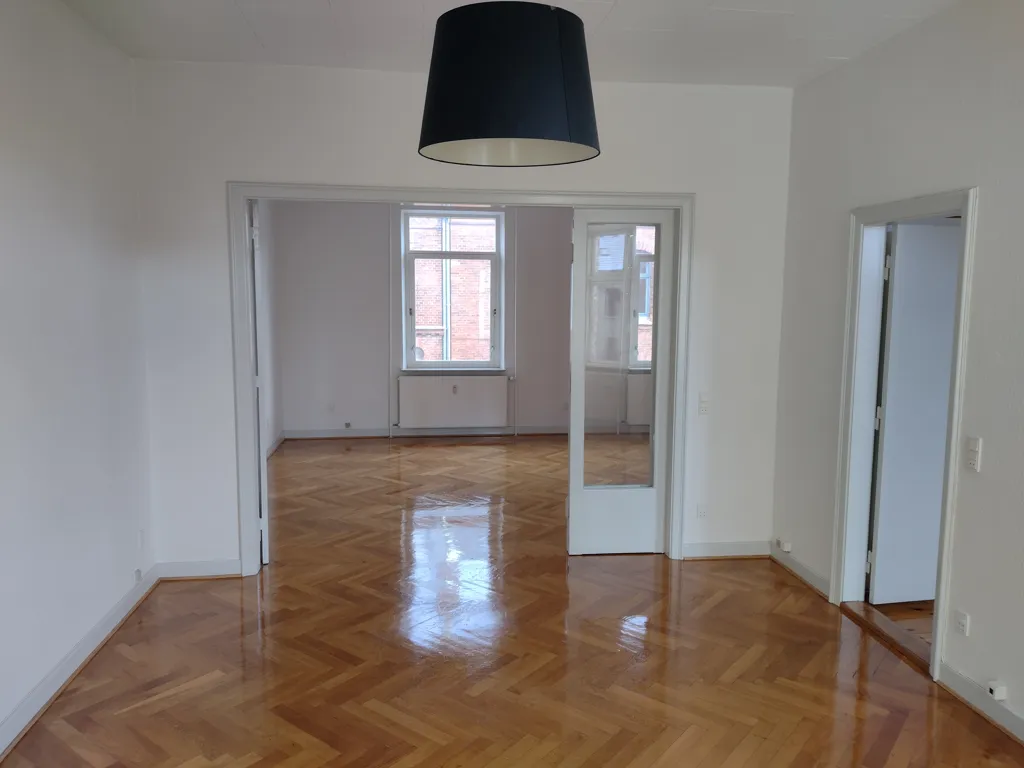 Toad - Spacious Renovated Penthouse in Odense C
