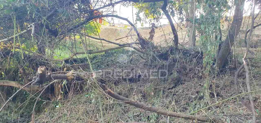 Aed - Urban Plot with River View in Lever