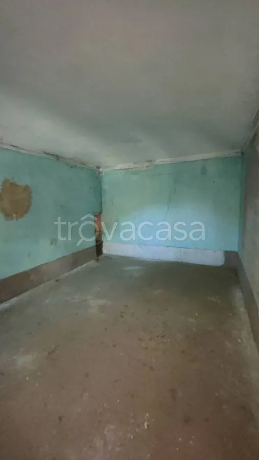 Toad - Rustic Cottage for Renovation in Caprie