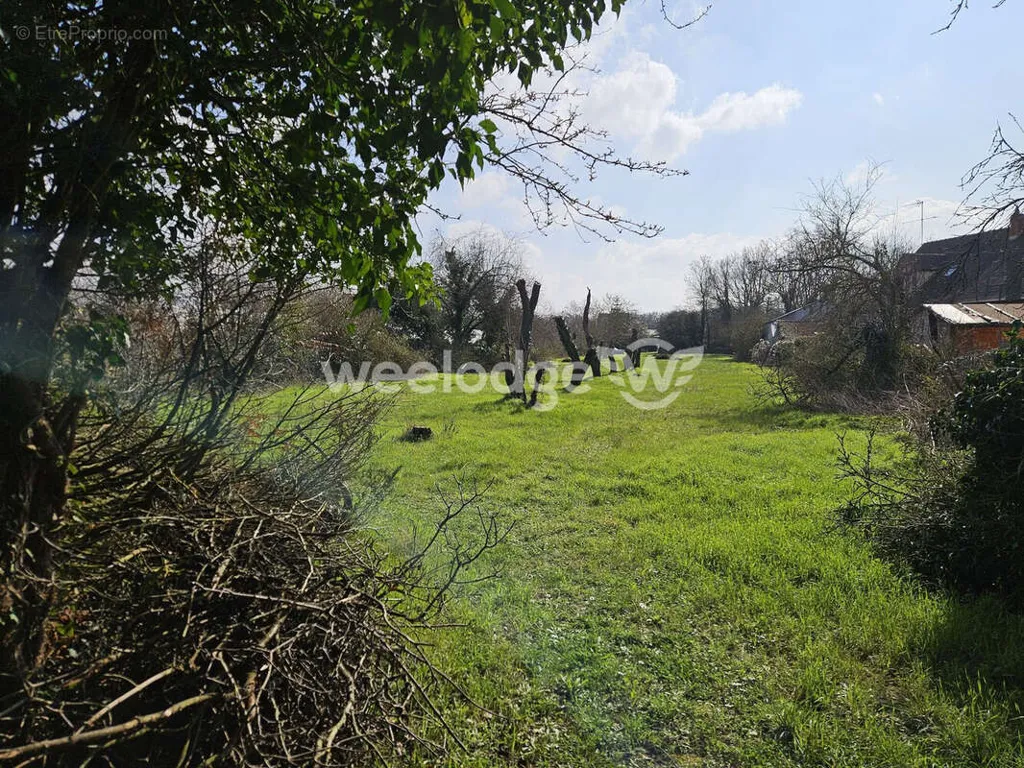 Aed - Buildable Plot with Railway Access in Neuville-Sur-Oise