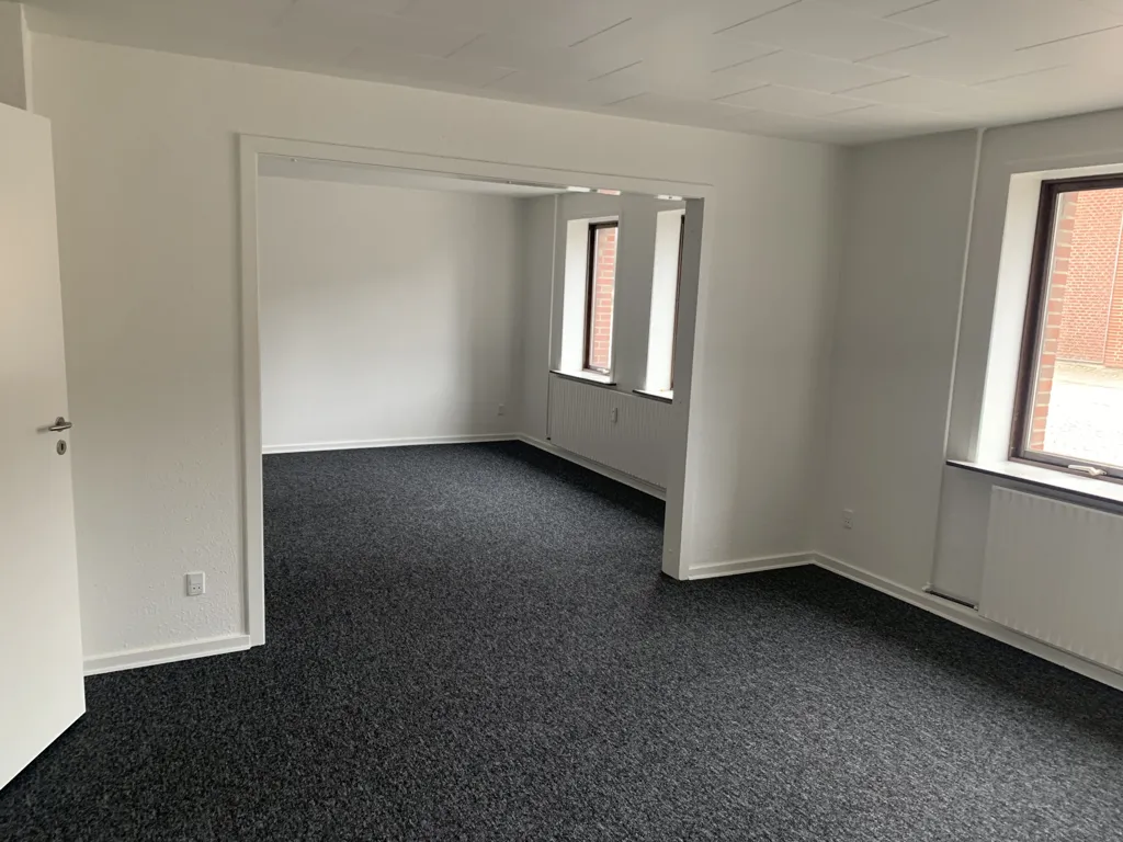 Toad - Modernised Flat with Kitchen in Brande Centre