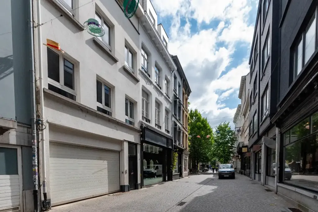 Välivaade - Renovated Duplex with City View in Antwerp
