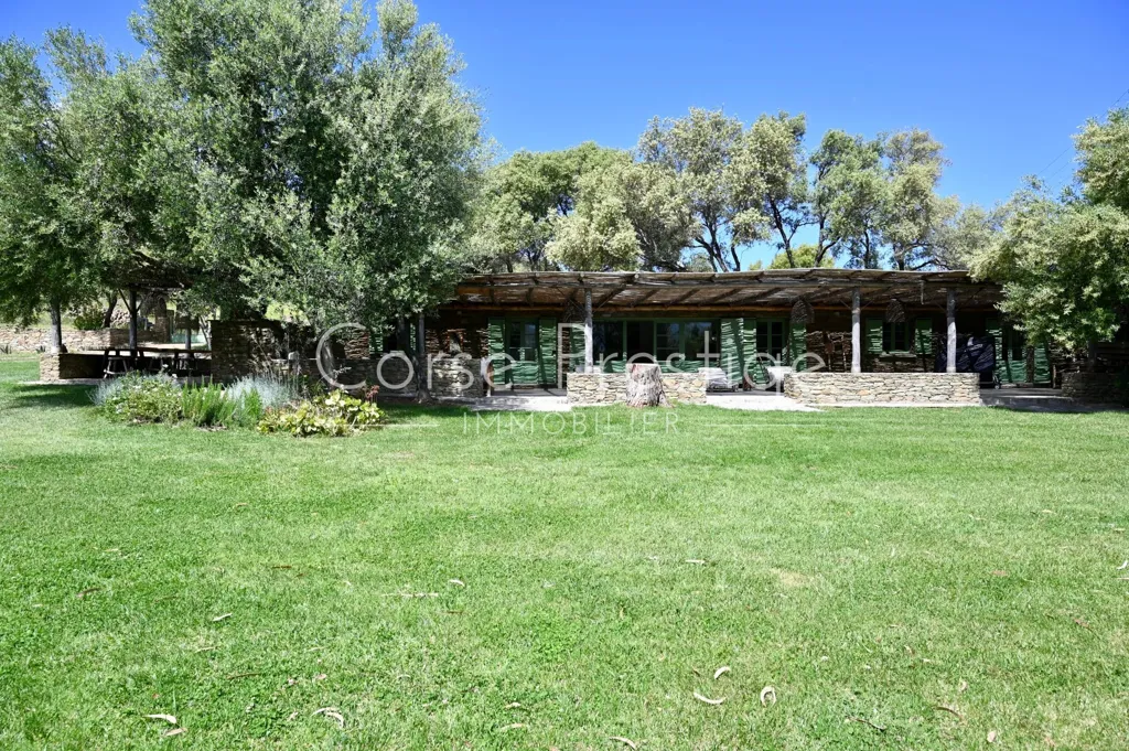 Jardin - Résidence Privée avec Vue Mer à Saint-Florent, Corse du Nord