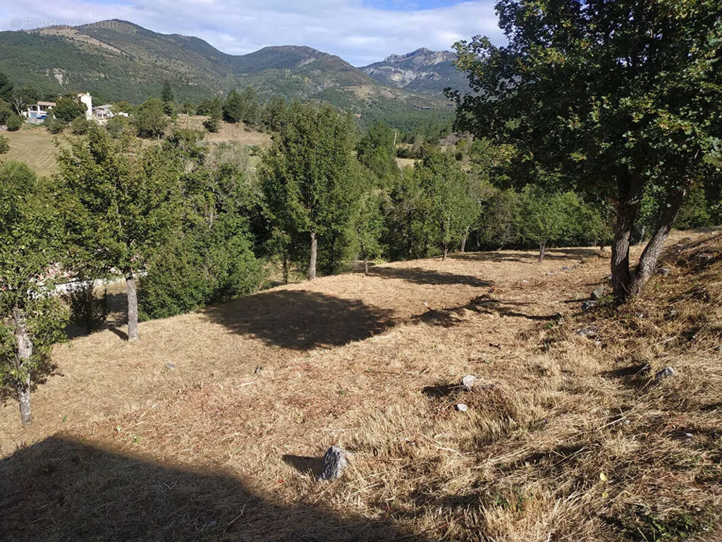 Jardin - Terrain à Bâtir avec Vue Dégagée à Castellane