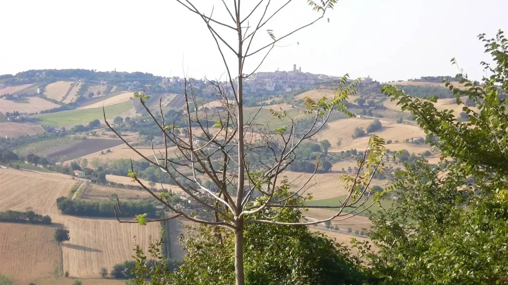 Rustic Farmhouse with Sea View in Civitanova Alta