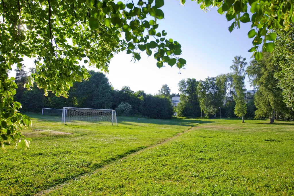 garden
