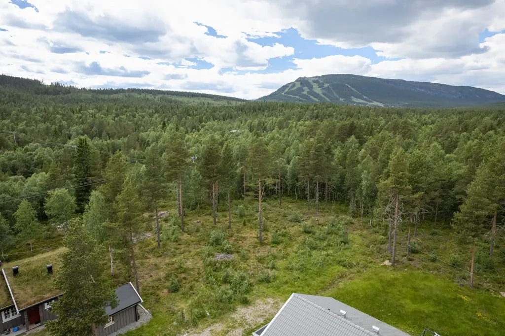 Õhuvaade - Corner Plot with Ski Access in Ljusnedal