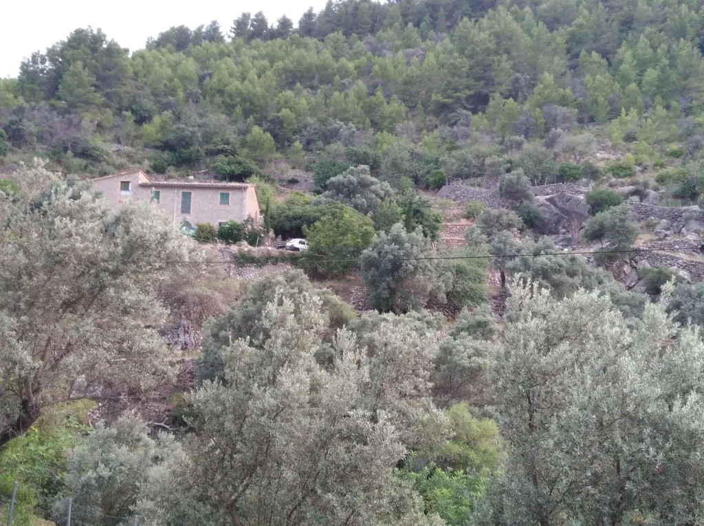 Extérieur - Mallorquin House with Fruit Trees in Deyá