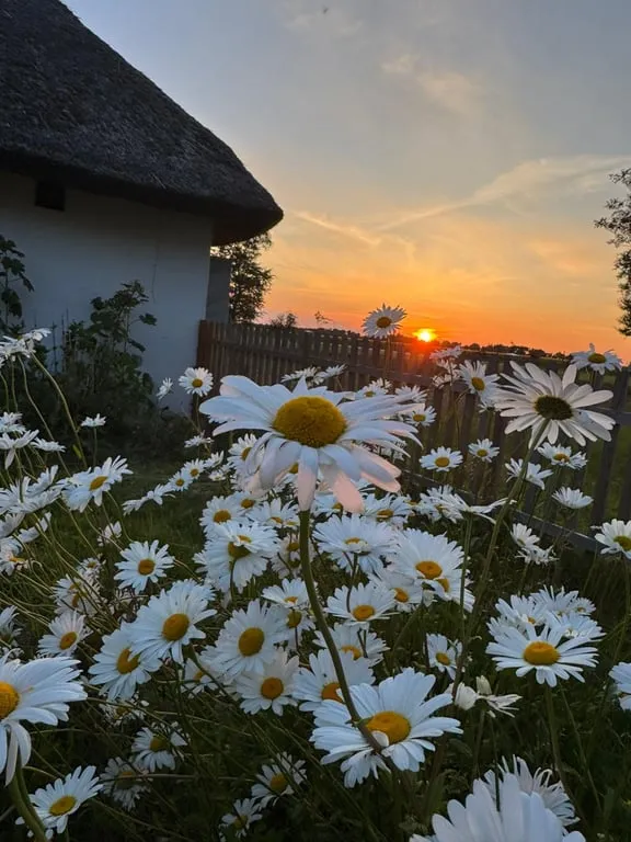 Välivaade - Historic Cross-Vaulted Farmhouse with Restaurant in Halland
