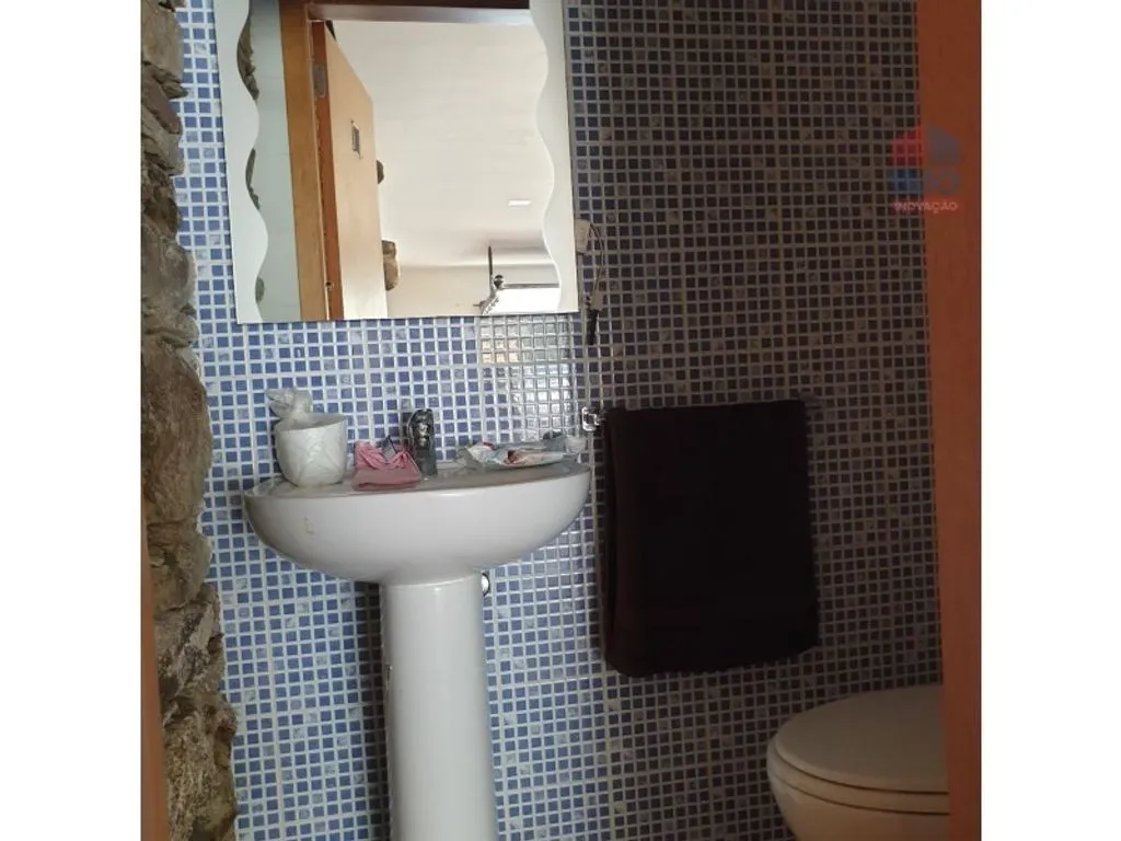 Vannitoad - Luxury House with Olive Grove in Vila Real