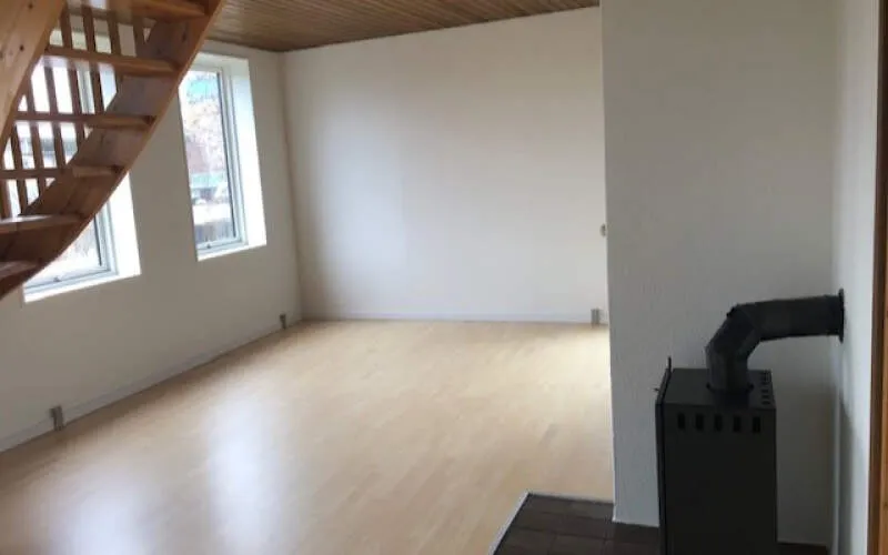 Séjour - Spacious Apartment with Garden Access in Nyborgvej